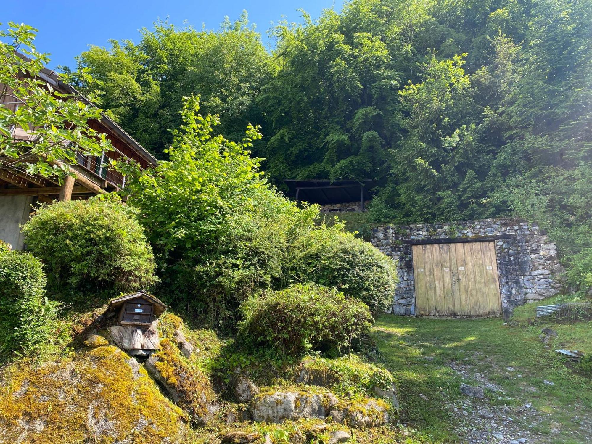 Le Petit Des Greys Chalet Meillerie